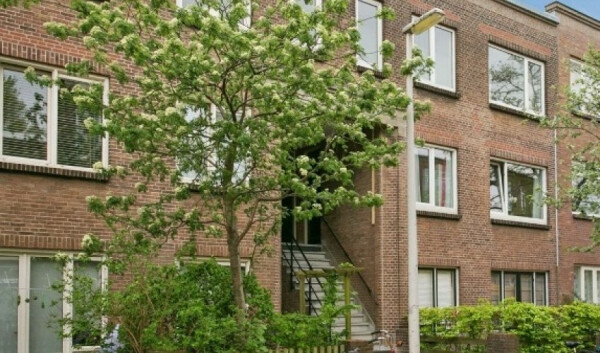 Anjelierstraat