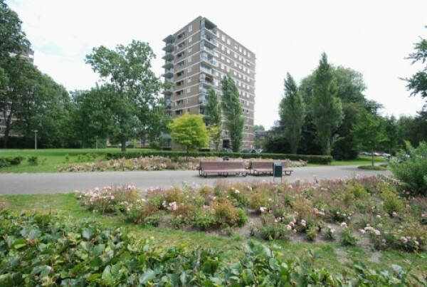 Hendrinaland