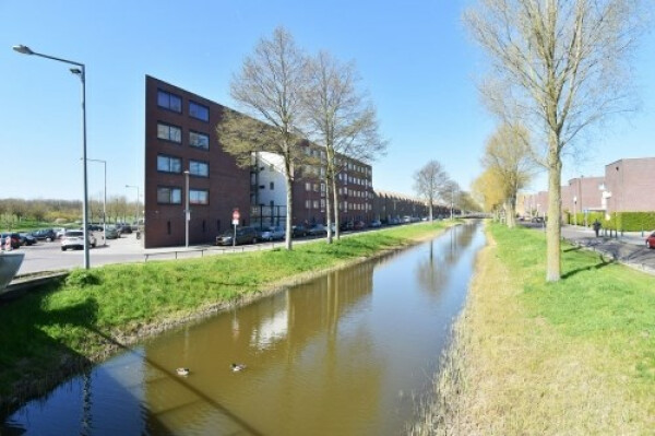 Snoekbaarssingel