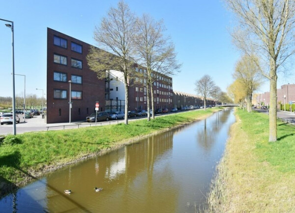 Snoekbaarssingel
