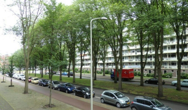 Volendamlaan