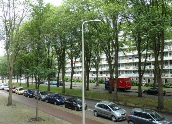 Volendamlaan